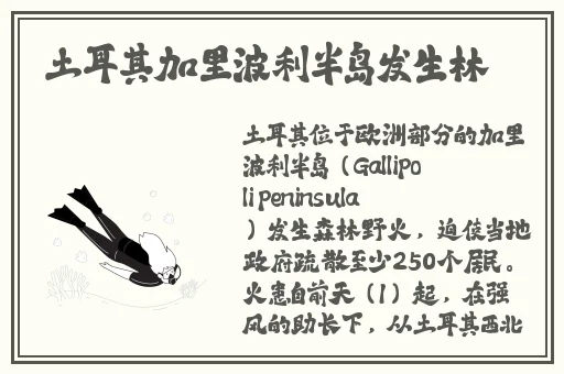 欧美久久精品一级黑人c片